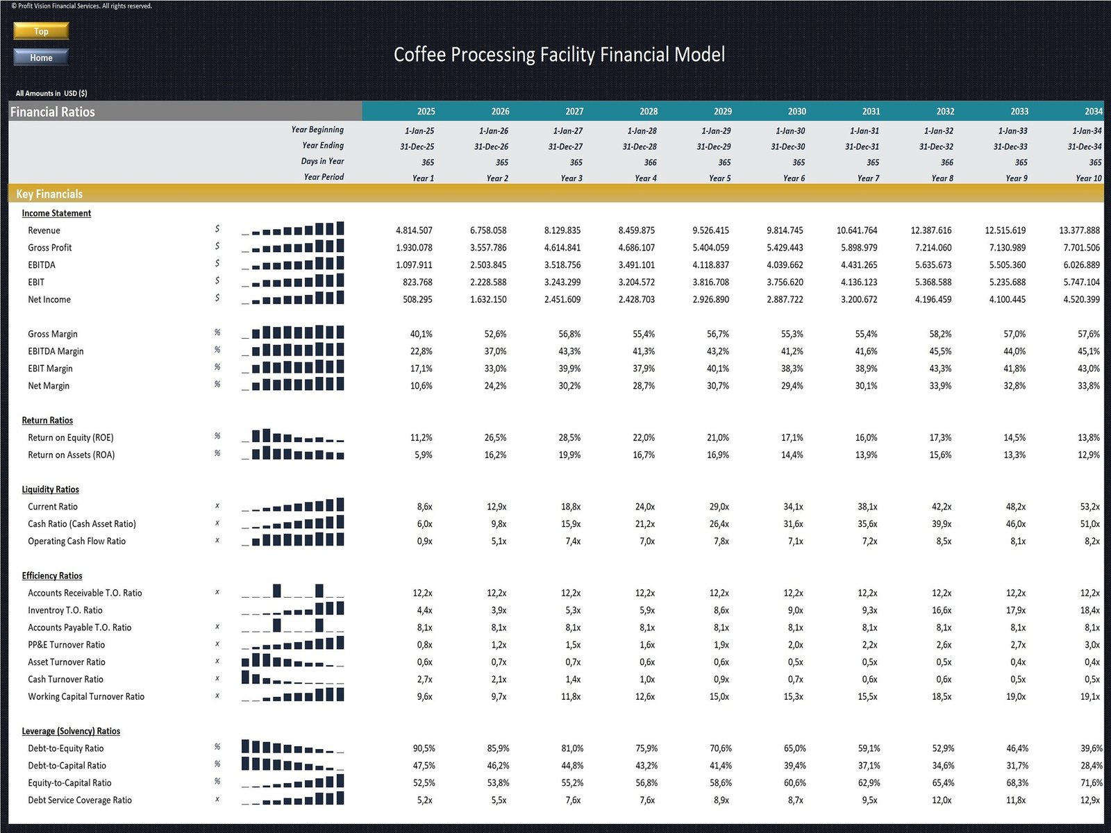 Coffee Processing Facility Financial Model_Financial Ratios