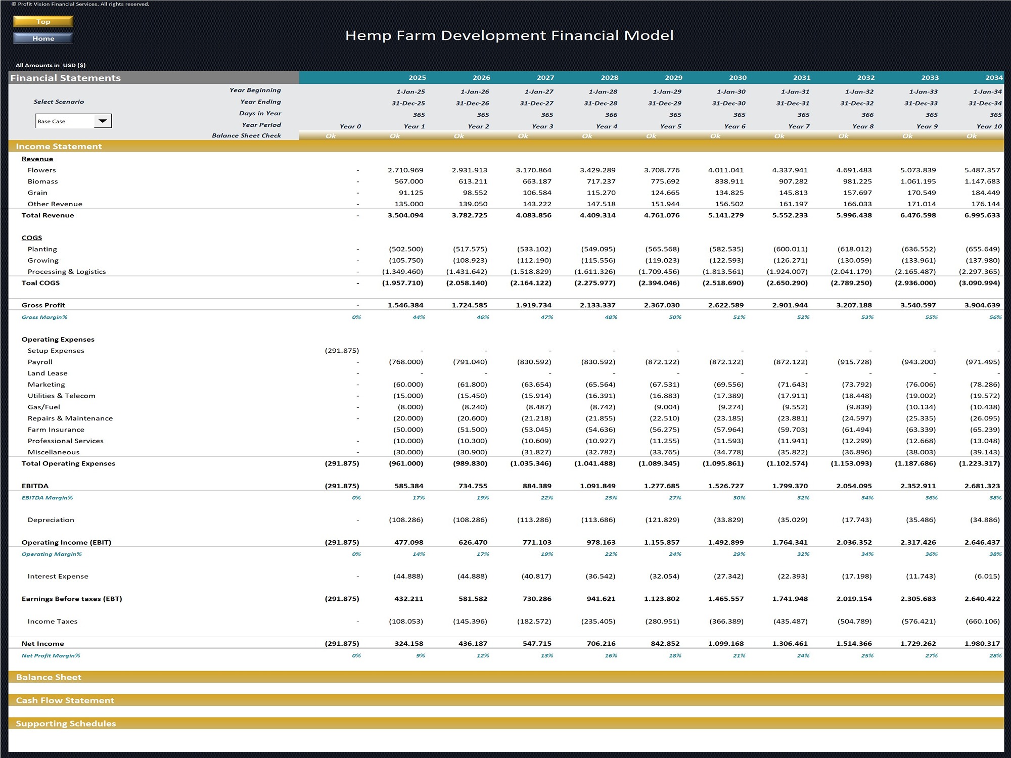 Hemp Farm Financial Model_10 Year Forecast_Income Statement