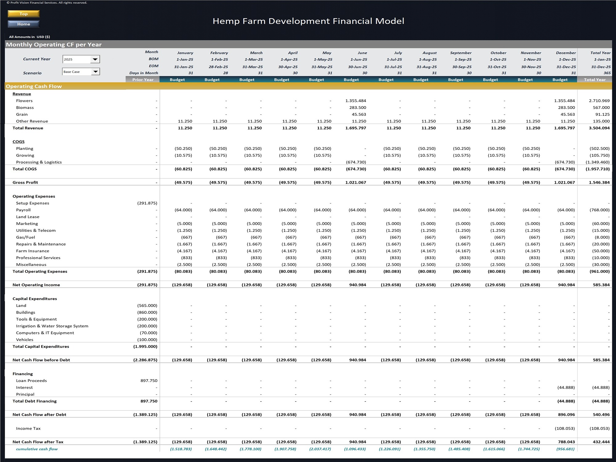 Hemp Farm Financial Model_Monthly Cash Flow Budget