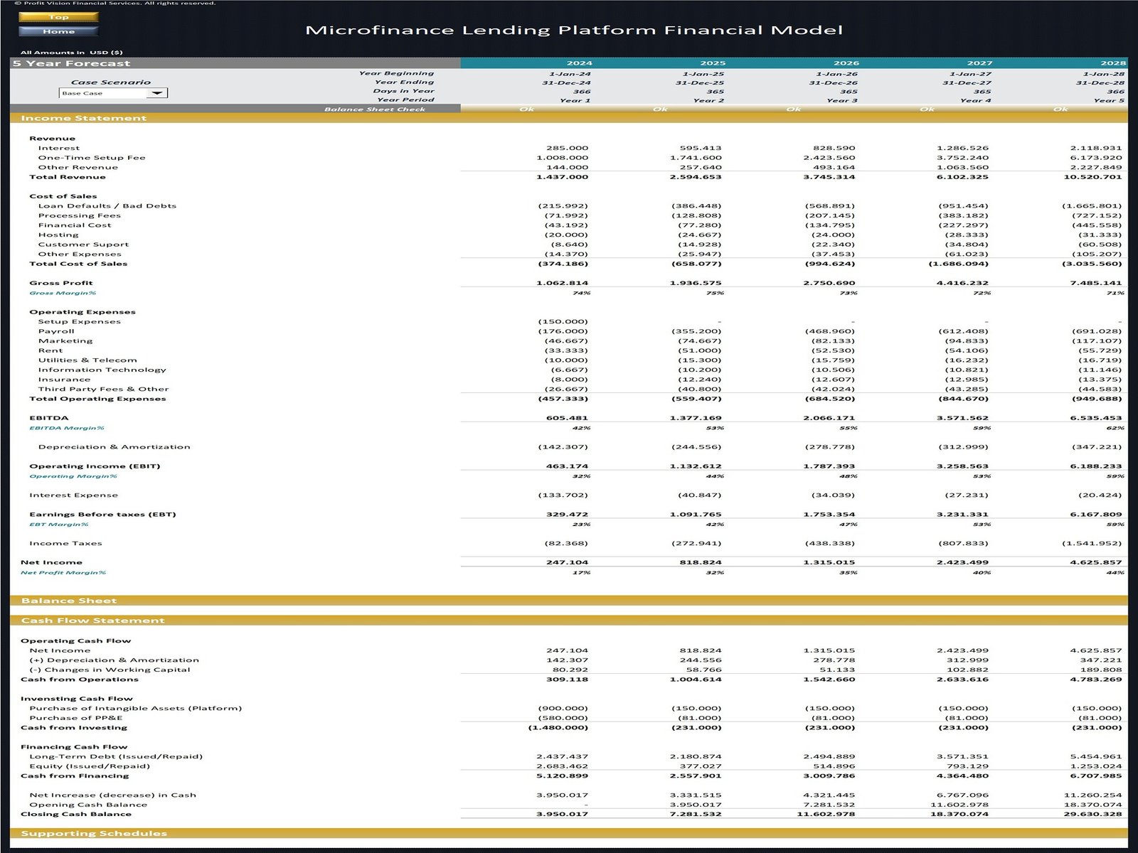 Microfinance Platform Financial Model_5 Year Forecast