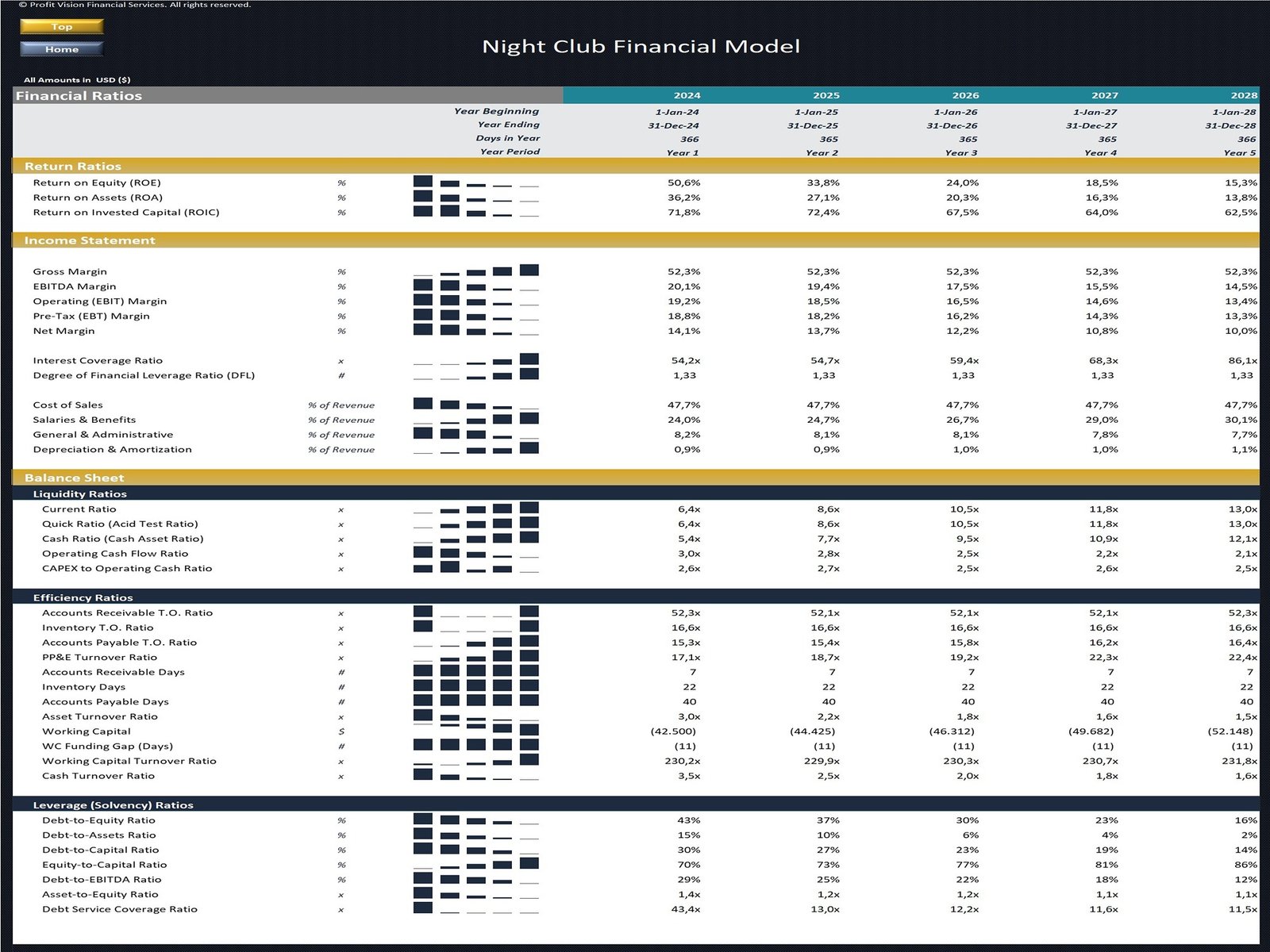 Night Club Financial Model_Financial Ratios