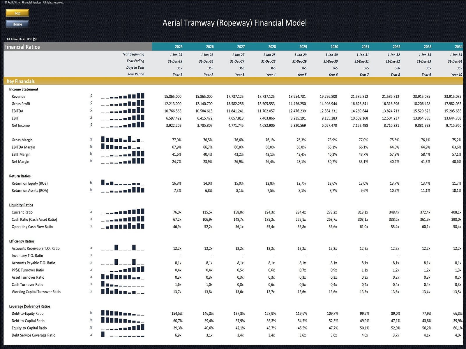 Ropeway Development Financial Model_Financial Ratios