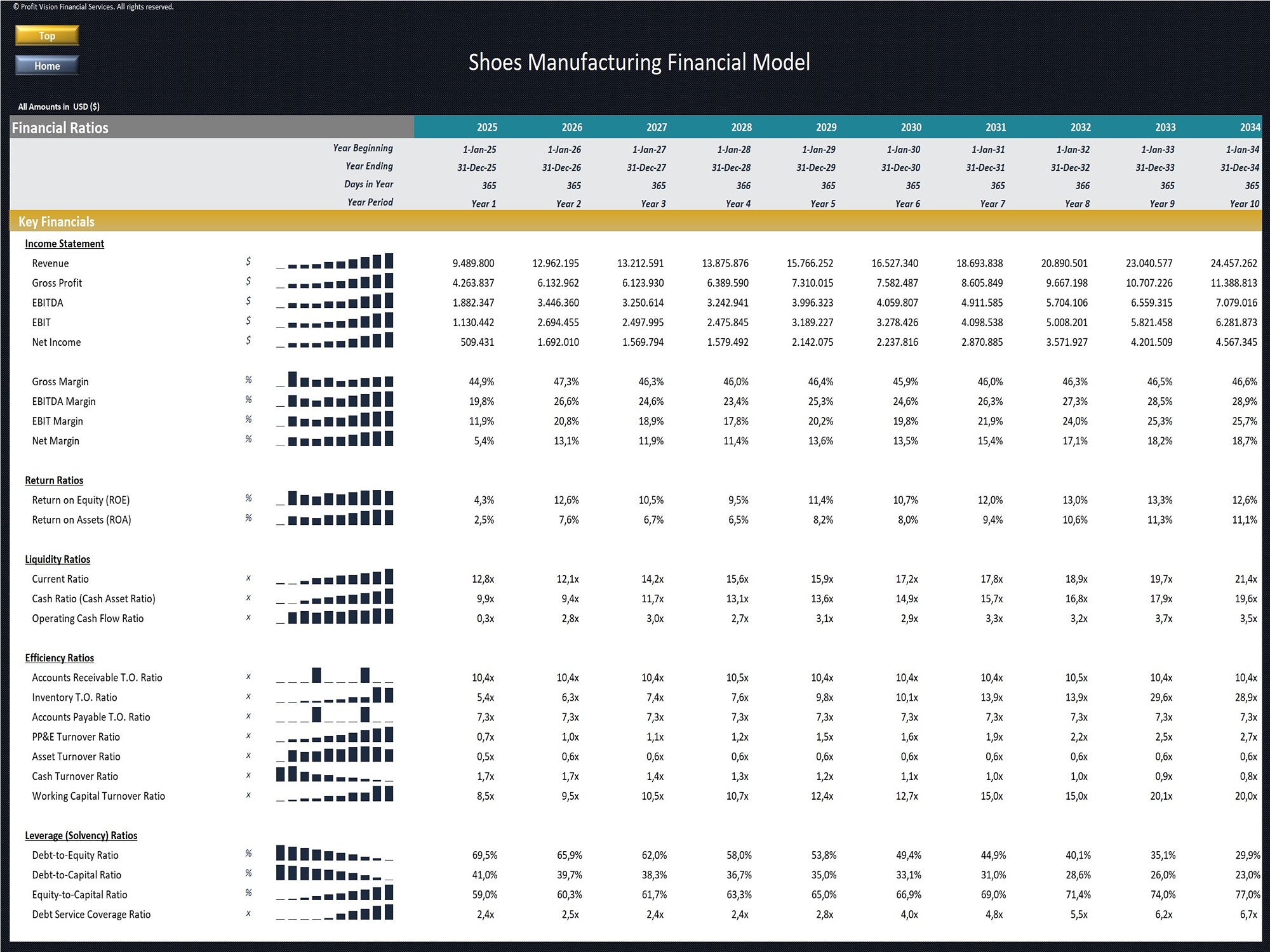 Shoes Manufacturing Financial Model_Financial Ratios