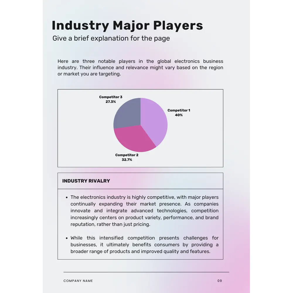 Electronics Business Plan Template - Industry Major Players