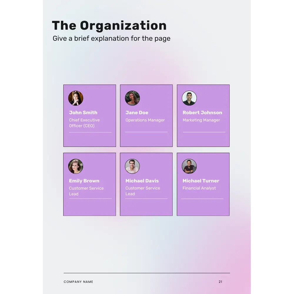 Electronics Business Plan Template - The Organization